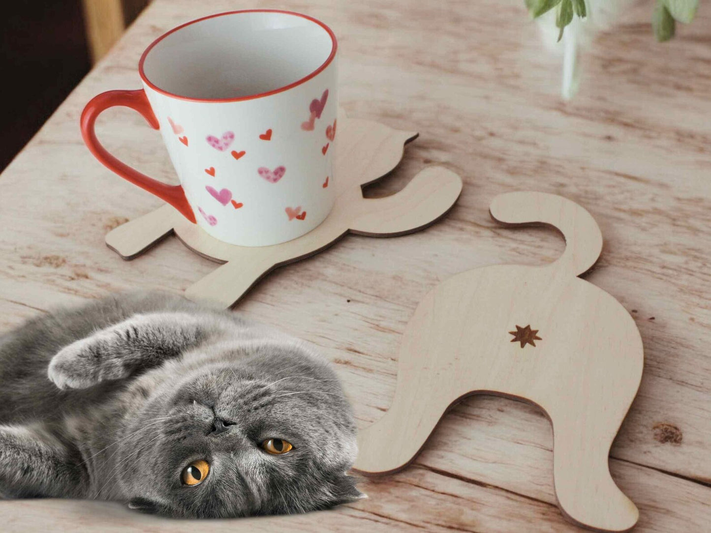 Set of Funny Cat Shaped Coasters - Wooden Coasters (8,12 pieces)